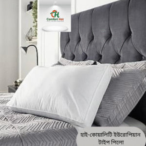 EUROPEAN TYPE PILLOW (2 PCS)