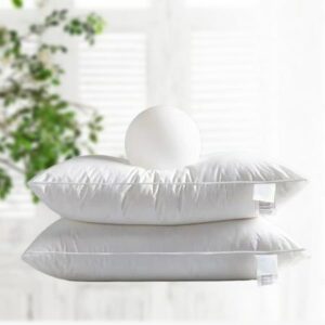 PREMIUM EUROPEAN TYPE PILLOW (2 PCS)